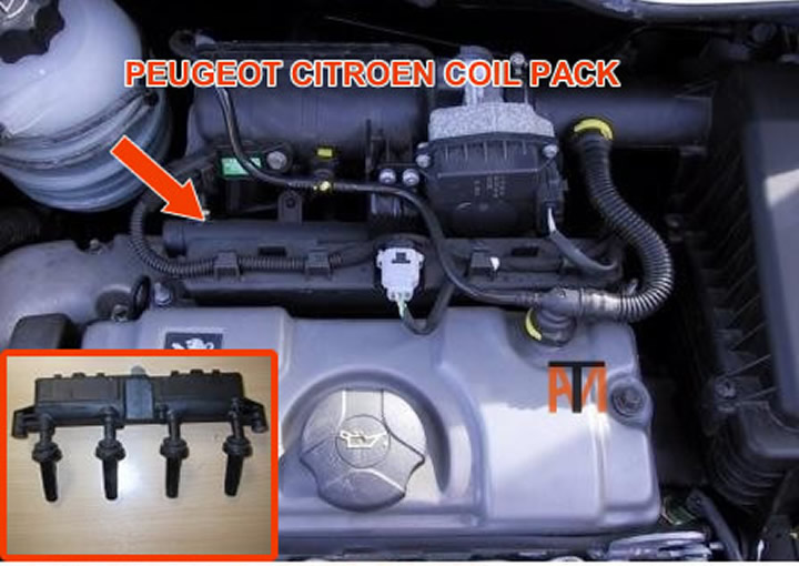 Peugeot Citroen coil pack